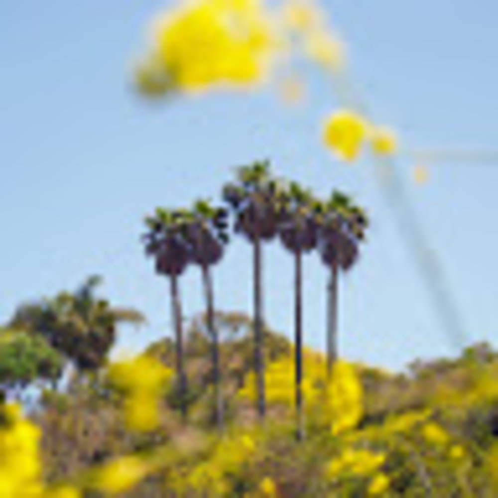 Meet your Posher, Wilber